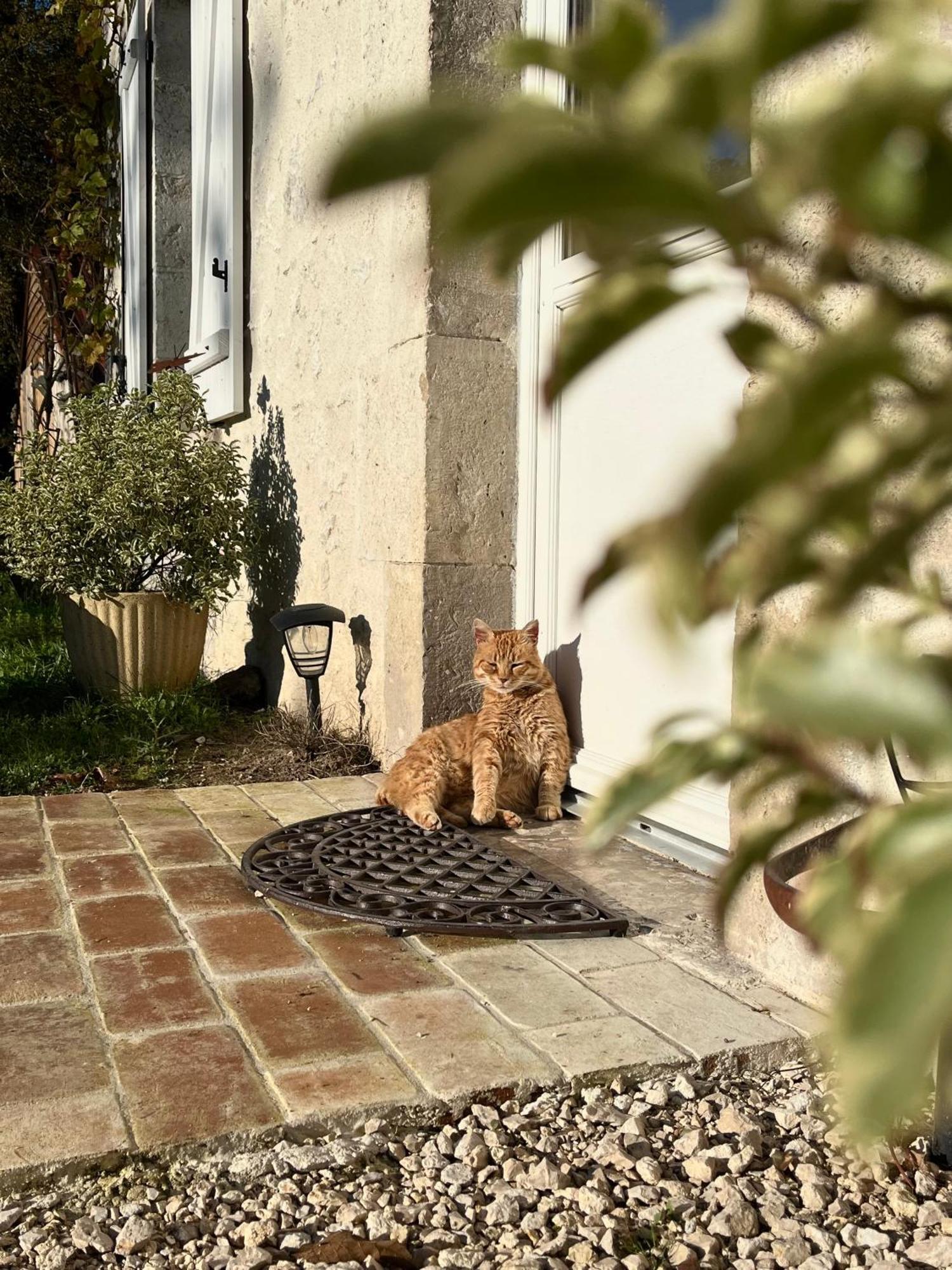 Maison Moz Fontaines-en-Sologne Zewnętrze zdjęcie